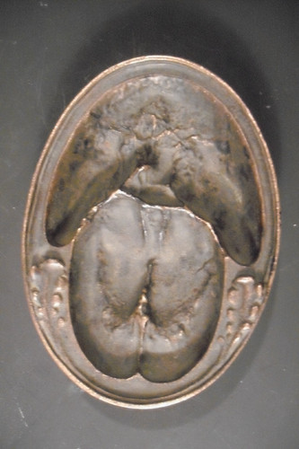 Bronze trittsiegel fährte - trittsiegel, /fährte
