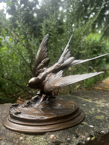 Schwalbe vogel flug - schwalbe,