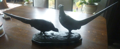 Fasanen bronze auf - fasanen,